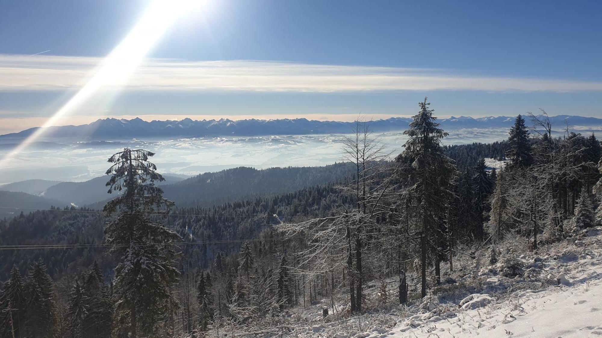 Lobrotno Gazdzina - Goralska Chalupa Na Wylacznosc Tatranská Bukovina Exteriér fotografie